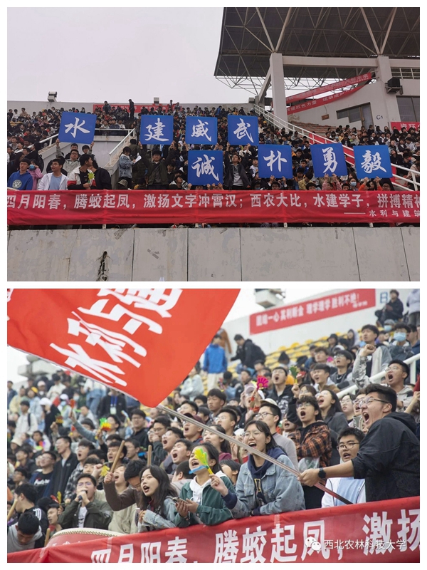 acc969d447d64a1a9f8dd8832f147eb1.jpg NeoImage_1本.jpg